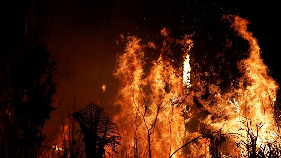 حريق هائل يندلع في غابات الأمازون، ونتائج كارثية على الاحتباس الحراري
