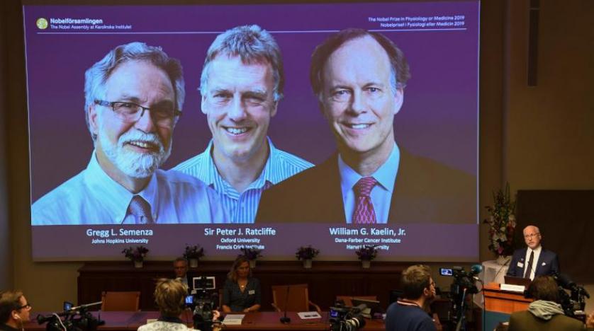 فوز ويليام جي كلين، غريغ سيمينزا، بيتر راتكليف بجائزة نوبل 2019 في الطب