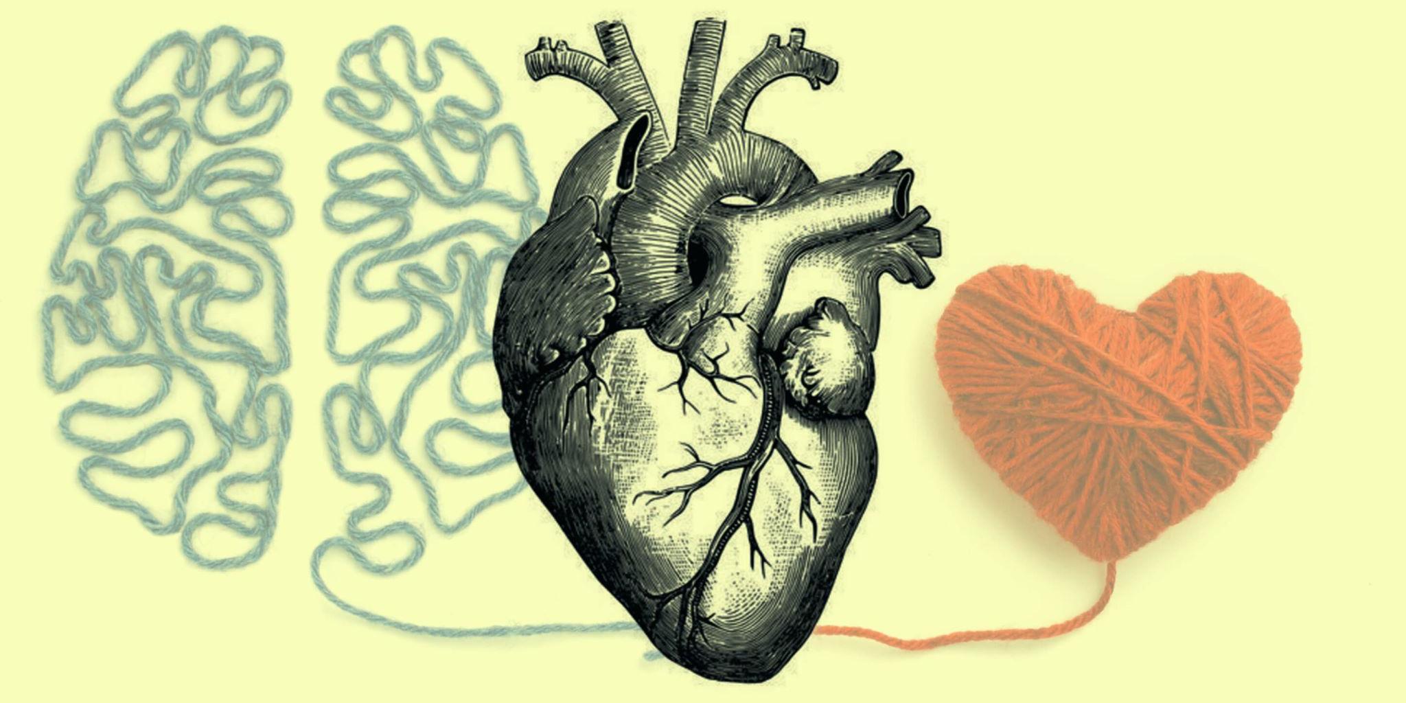 كيف يؤثر القلب على إدراكنا للعالم الخارجي؟