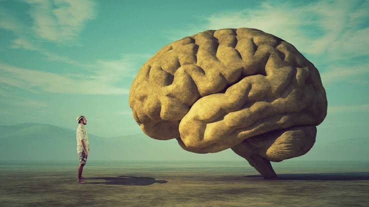 سلسلة علم النفس - الجزء الثاني: الطبيعة الفريدة لعمل المخ