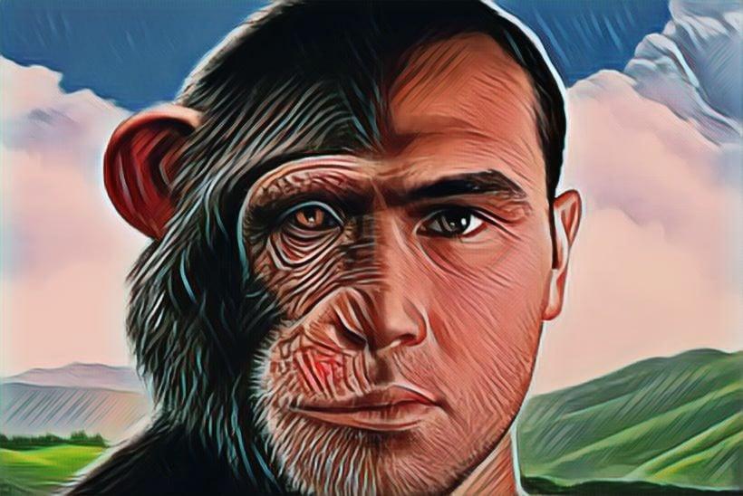 ما هي أبرز أوجه الشبه والاختلاف بين الإنسان والشيمبانزي؟