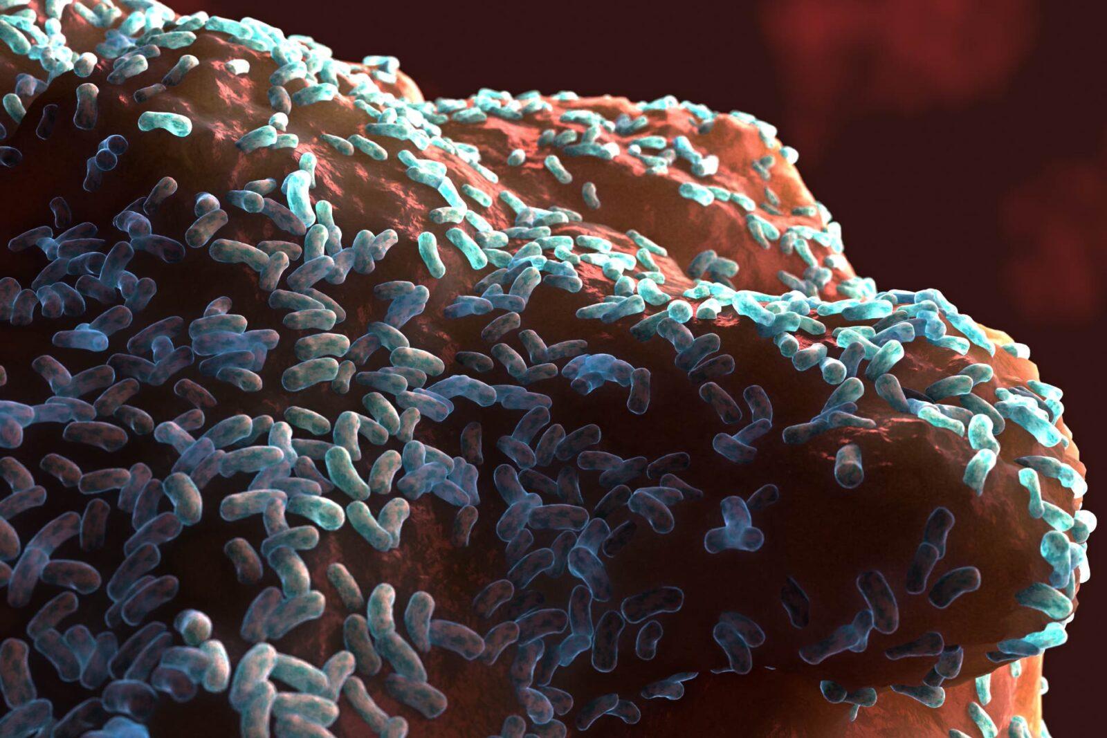 رسمة ثلالثية الأبعاد تظهر فيها مجموعة من الخلايا البكتيرية العصوية في البيوفيلم