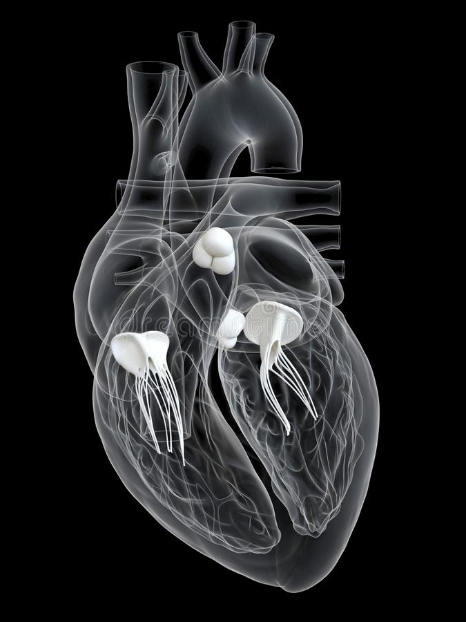 الطباعة الحيوية
محاكاة حاسوبية لصمامات القلب قبل عملية الطباعة